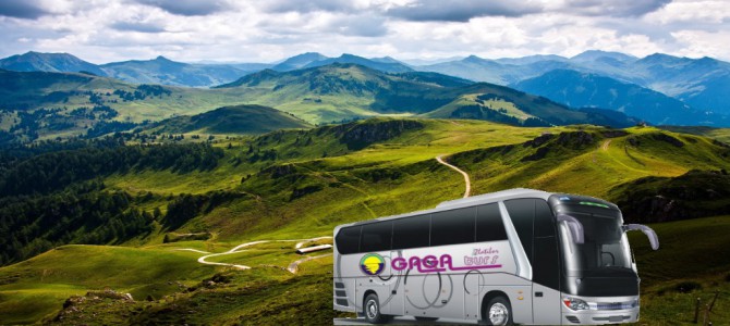 Povratna karta Zlatibor – Tornik 300 dinara Povratna karta Zlatibor – Tornik 300 dinara